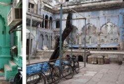 Forgotten Havelis of Shahjahanabad